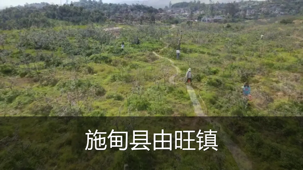施甸县由旺镇