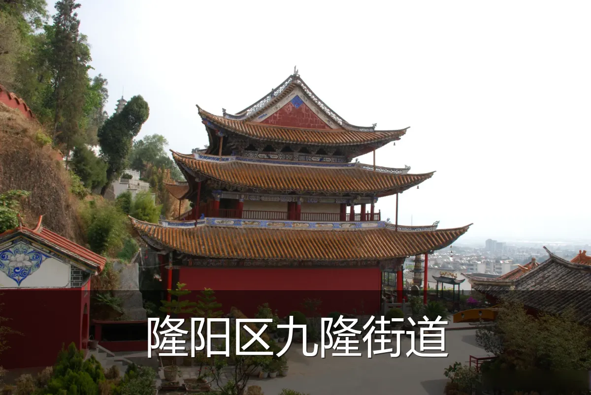 隆阳区九隆街道
