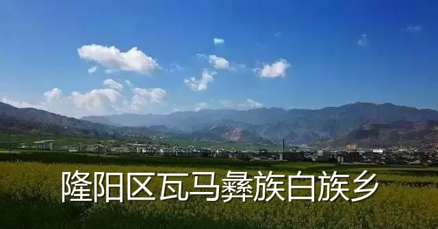 隆阳区瓦马彝族白族乡