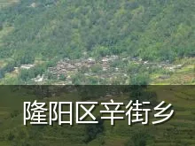 隆阳区辛街乡